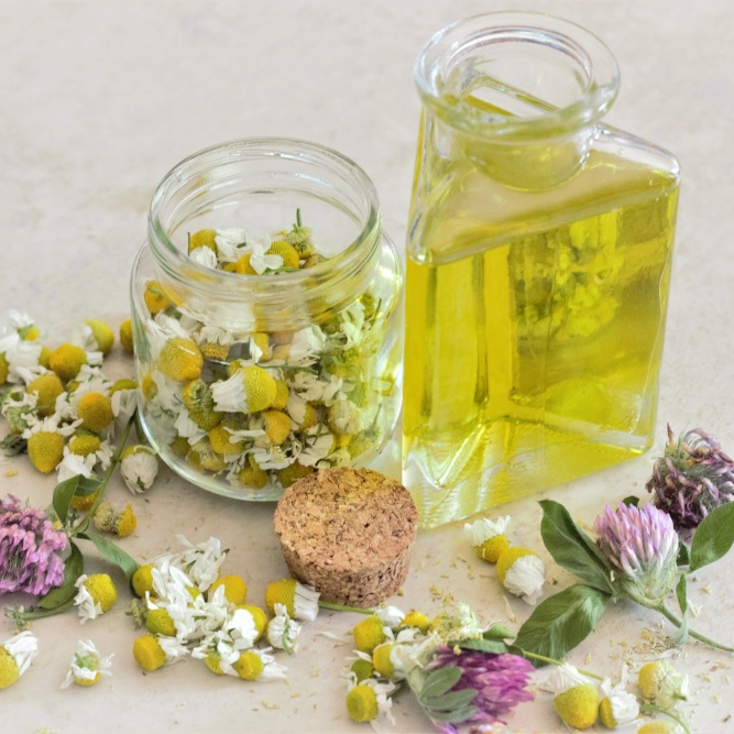 Des extraits phytothérapiques - laboratoire biologique en Normandie - conception de compléments alimentaires liquides Des extraits phytothérapiques